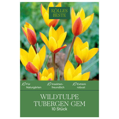 Wildtulpen Tubergen Gem rot/gelb, 10 Blumenzwiebeln Wildtulpen Tubergen Gem rot/gelb, 10 Blumenzwiebeln
