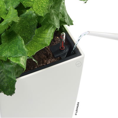 Lechuza 'Cubico 50', scarlet-rot, ca. 50 x 50 x H 95 cm