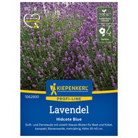 Blumensamen, Lavendel 'Hidcote Blue Strain', lila