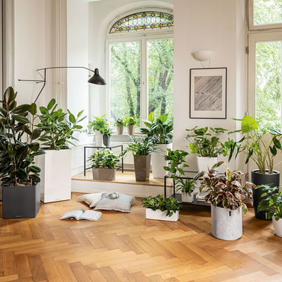 Lechuza 'Canto Premium 40 low', anthrazit, ca. 40 x 40 x H 40 cm