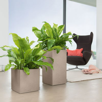 Lechuza 'Canto Stone 30 high', sandbeige, ca. 30 x 30 x H 56 cm