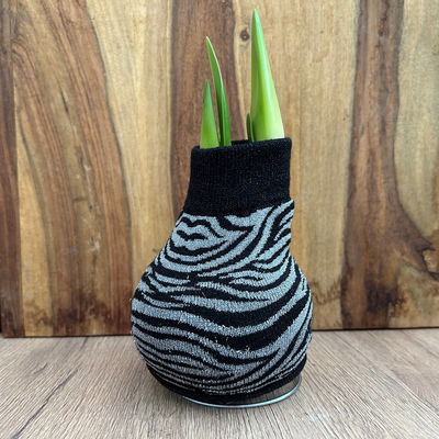 Amaryllis in Wachs, Dekor 'Pullover Animal', Farbe zufällig, Blüte weiß