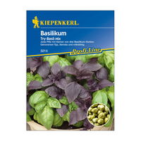 Pillensaat, Basilikum 'Try-Basil-Mix', bunt