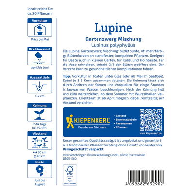 Blumensamen, Lupine 'Gartenzwerg', bunt