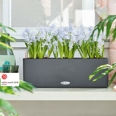 Lechuza 'Cube Color Triple', schiefergrau, ca. 40 x 14 x H 13,5 cm Lechuza 'Cube Color Triple', schiefergrau, ca. 40 x 14 x H 13,5 cm