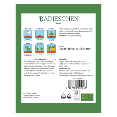 Kölles Beste Saatgut Radieschen 'Ester', rot