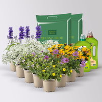 Pflanzenkreation 'Insektenbuffet', lila-gelb-weiß, 12 Pflanzen + Erde + Dünger