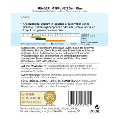 Nigella (Jungfer im Grünen) Delft Blue / einjährig, auffällig, blau-grau Nigella (Jungfer im Grünen) Delft Blue / einjährig, auffällig, blau-grau