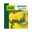 Narzisse 'Rip van Winkle' gelb, vorgetrieben, Topf-Ø 10 cm, 6er-Set
