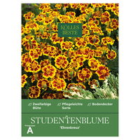 Kölles Beste Blumensamen, Studentenblume 'Ehrenkreuz'