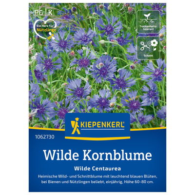 Saatgut Wilde Kornblume Saatgut Wilde Kornblume