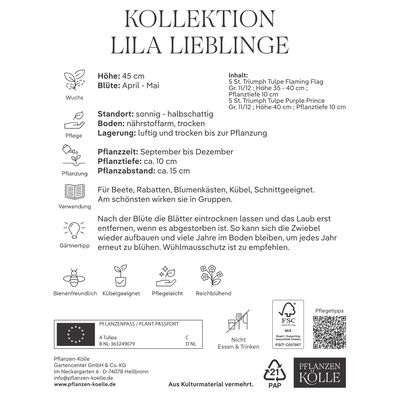 Tulpenmischung Lila Lieblinge, 10 Blumenzwiebeln