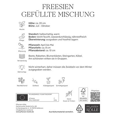 Kölles Beste Blumenzwiebeln, Freesien 'Gefüllte Mischung'