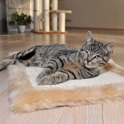 Silvio Design Möbelschoner für Katzen, beige