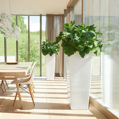 Lechuza 'Cubico Alto 40', weiß, ca. 39,5 x 39,5 x H 105 cm Lechuza 'Cubico Alto 40', weiß, ca. 39,5 x 39,5 x H 105 cm