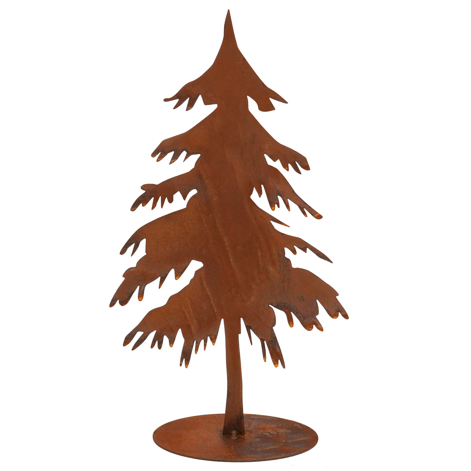 Tanne 'Schwarzwald 370', rostfarben, Höhe ca. 37 cm Tanne 'Schwarzwald 370', rostfarben, Höhe ca. 37 cm