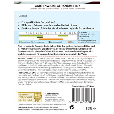 Thompson & Morgan Gartenwicke 'Geranium Pink', lachsrosa