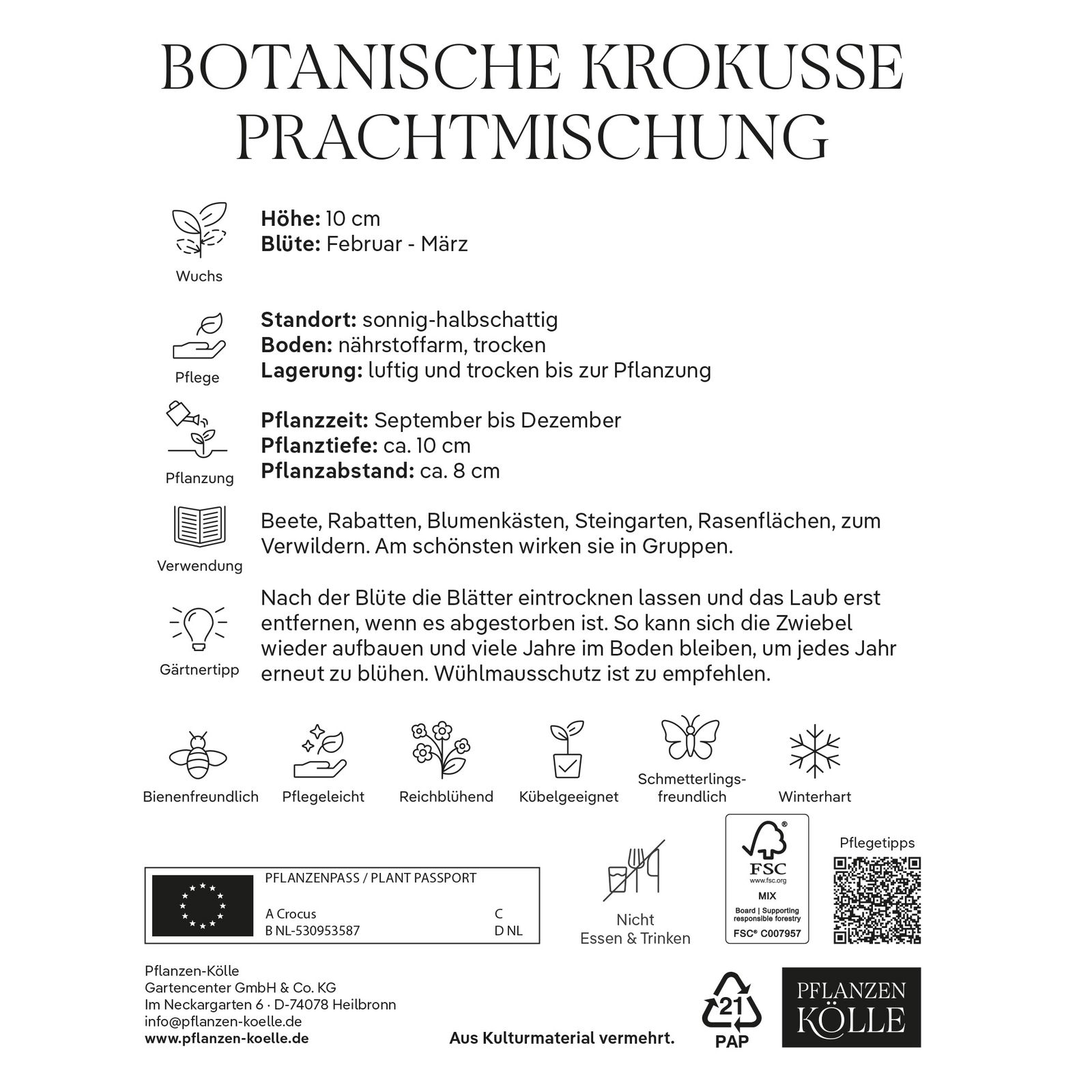 botanische Krokusse 'Prachtmischung', Farbmix, 100 Blumenzwiebeln