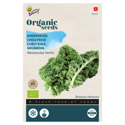 Bio-Saatgut Grünkohl 'Westländer Herbst', grün