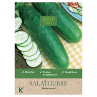 Kölle Bio Saatgut Salatgurke 'Marketmore' Kölle Bio Saatgut Salatgurke 'Marketmore'
