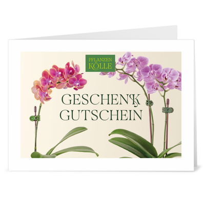 Gutschein zum Ausdrucken 'Orchidee' Gutschein zum Ausdrucken 'Orchidee'