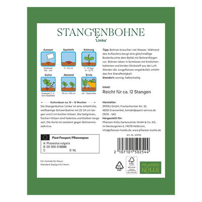 Kölles Beste Saatgut Stangenbohne 'Limka', grün