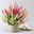 Calluna 'Beauty Ladies® Longlife Ametie' Trio, bunt, Topf-Ø 13 cm, 6 Pflanzen