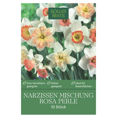 Narzissen Rosa Perle, 10 Blumezwiebeln Narzissen Rosa Perle, 10 Blumezwiebeln
