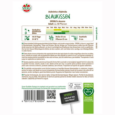 Blumensamen, Blaukissen 'Sperli’s Azurro', lila Blumensamen, Blaukissen 'Sperli’s Azurro', lila