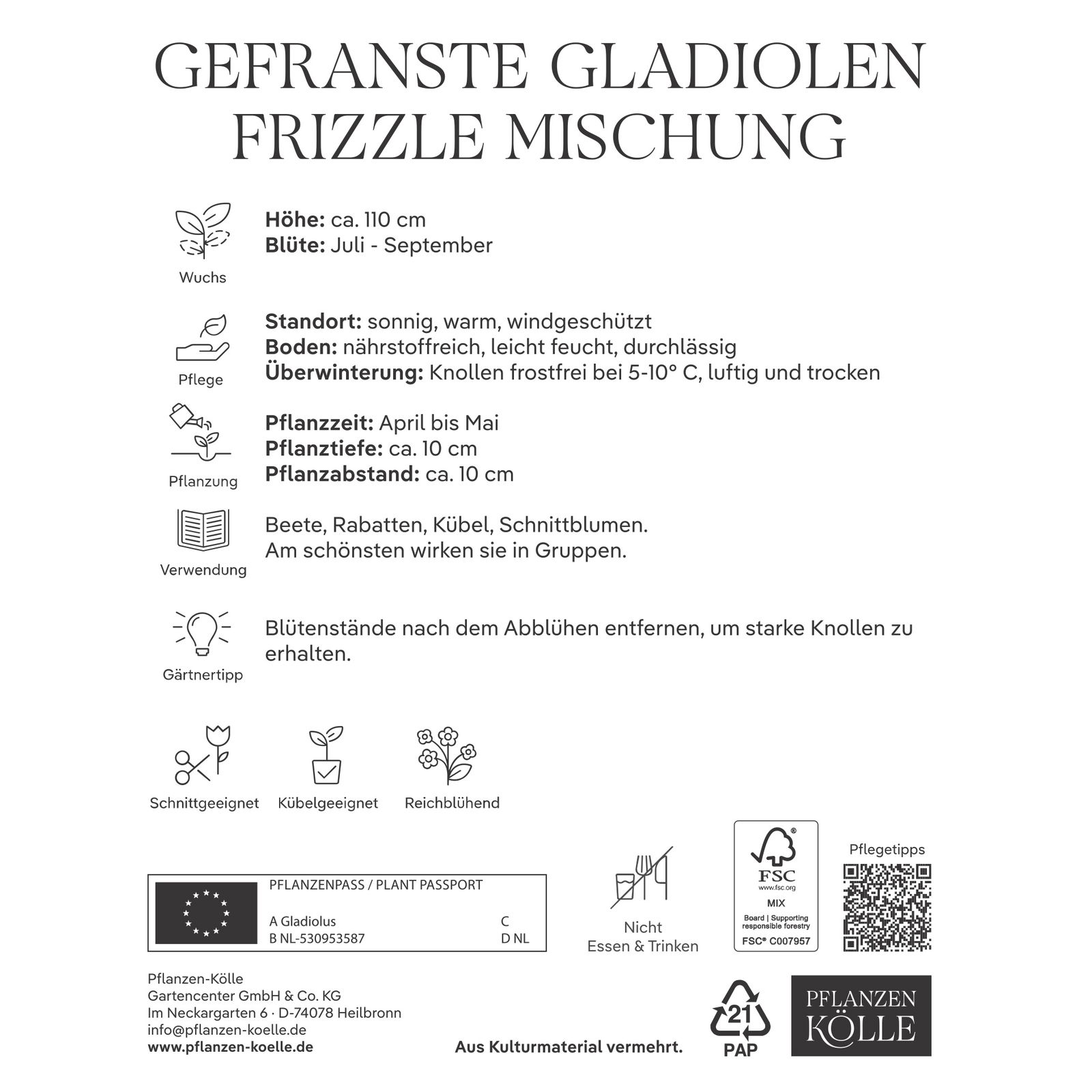 Kölles Beste Blumenknollen, Gefranste Gladiolen Frizzle Mischung Kölles Beste Blumenknollen, Gefranste Gladiolen Frizzle Mischung