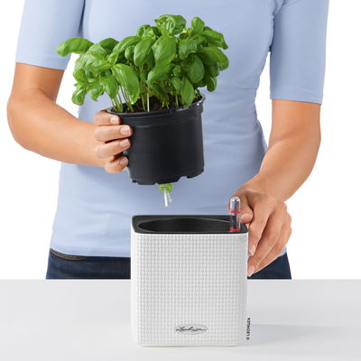 Lechuza 'Cube Color 14', weiß, ca. 14 x 14 x H 13,5 cm