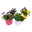Frühlingsmix, Mix zufällig, Topf-Ø 13 cm, 6er-Set Frühlingsmix, Mix zufällig, Topf-Ø 13 cm, 6er-Set