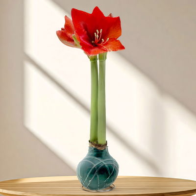 Amaryllis in Wachs XL, Dekor 'Forest Mix' Farbe zufällig, Blüte rot Amaryllis in Wachs XL, Dekor 'Forest Mix' Farbe zufällig, Blüte rot