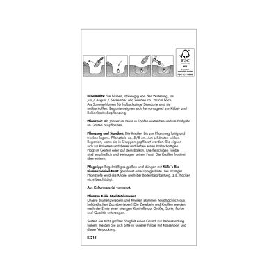 Duftende Hängebegonien Mischung Odorosa gelb-rosa, 3 Blumenknollen