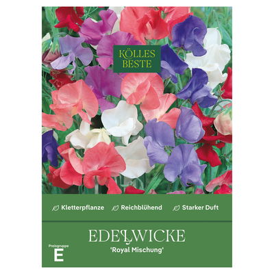 Kölles Beste Blumensamen, Edelwicke 'Royal Mischung'