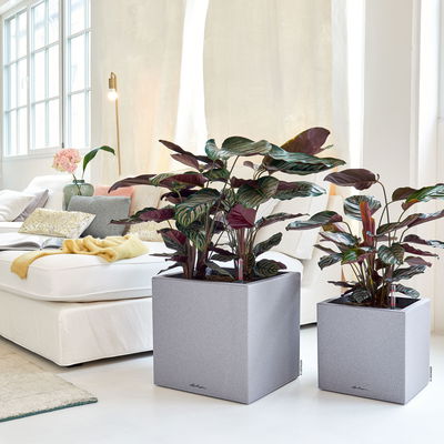 Lechuza 'Canto Stone 30 low', steingrau, ca. 30 x 30 x H 30 cm