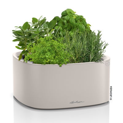 Lechuza 'Pila Color', sandbraun, ca. 35 x 35 x H 16,5 cm