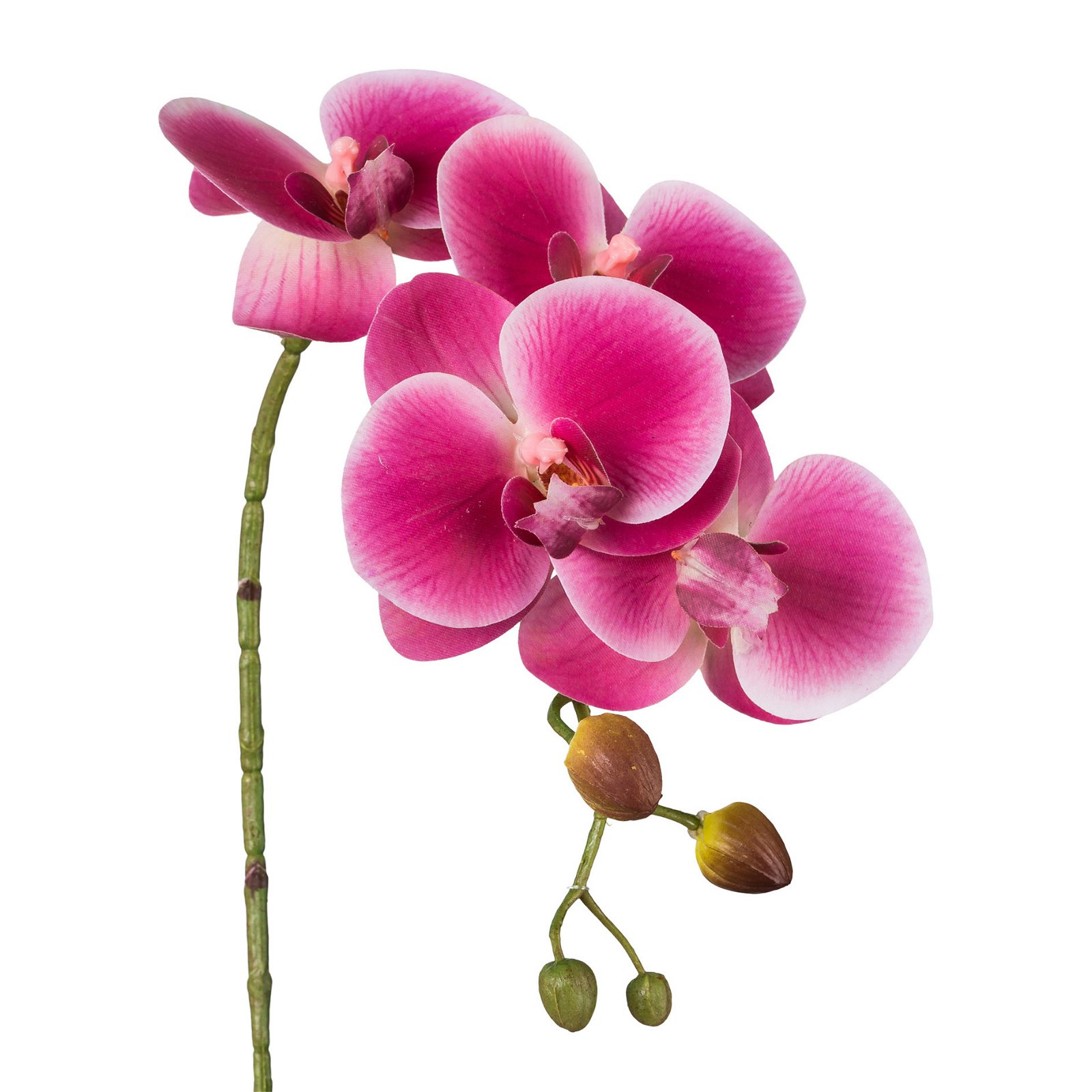 Kunstpflanze Phalaenopsis 'Real Touch', 4 Blüten, Orchid, Höhe ca. 42 cm