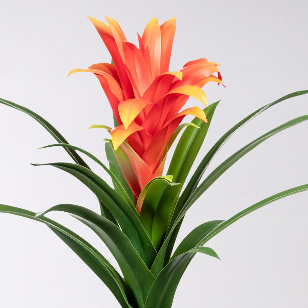 Künstliche Bromelia guzmania mit Blüte in rot kaufen PflanzenKölle