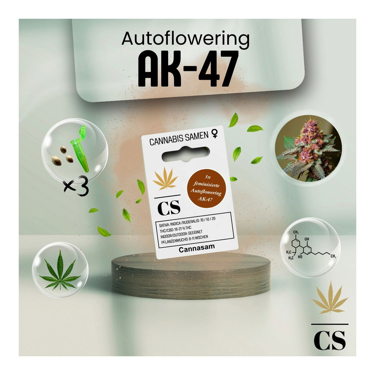Cannabis Saatgut Hanf 'Autoflowering AK 47'