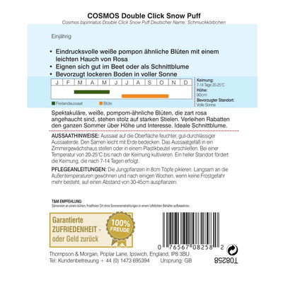 Thompson & Morgan Schmuckkörbchen 'Double Click Snow Puff'