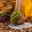 Workshop Herbstmarkt 