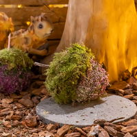 Workshop Herbstmarkt 