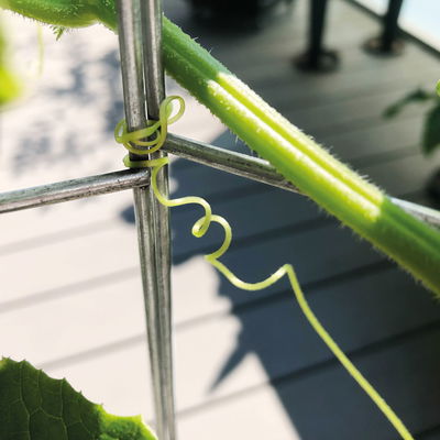 Gurkenturm, verzinkt, H120 x Ø20 cm