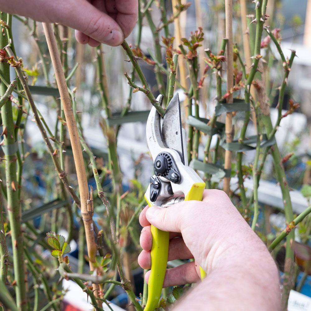 Online-Kurs Online-Kurs