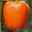 Block-Paprikapflanze 'Beluga® Orange, Topf-Ø 10,5 cm, 6er-Set