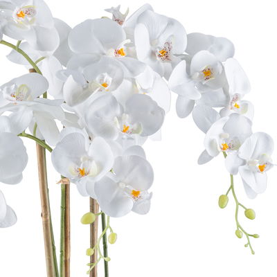 Kunstpflanze Phalaenopsis, weiß, Höhe ca. 62 cm Kunstpflanze Phalaenopsis, weiß, Höhe ca. 62 cm