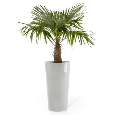 Ecopots Pflanzgefäß 'Amsterdam Midi', weißgrau, ca. Ø 34 x H 66 cm Ecopots Pflanzgefäß 'Amsterdam Midi', weißgrau, ca. Ø 34 x H 66 cm