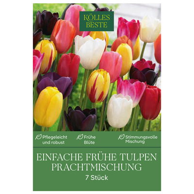 Einfache frühe Tulpen Prachtmischung, 7 Blumenzwiebeln