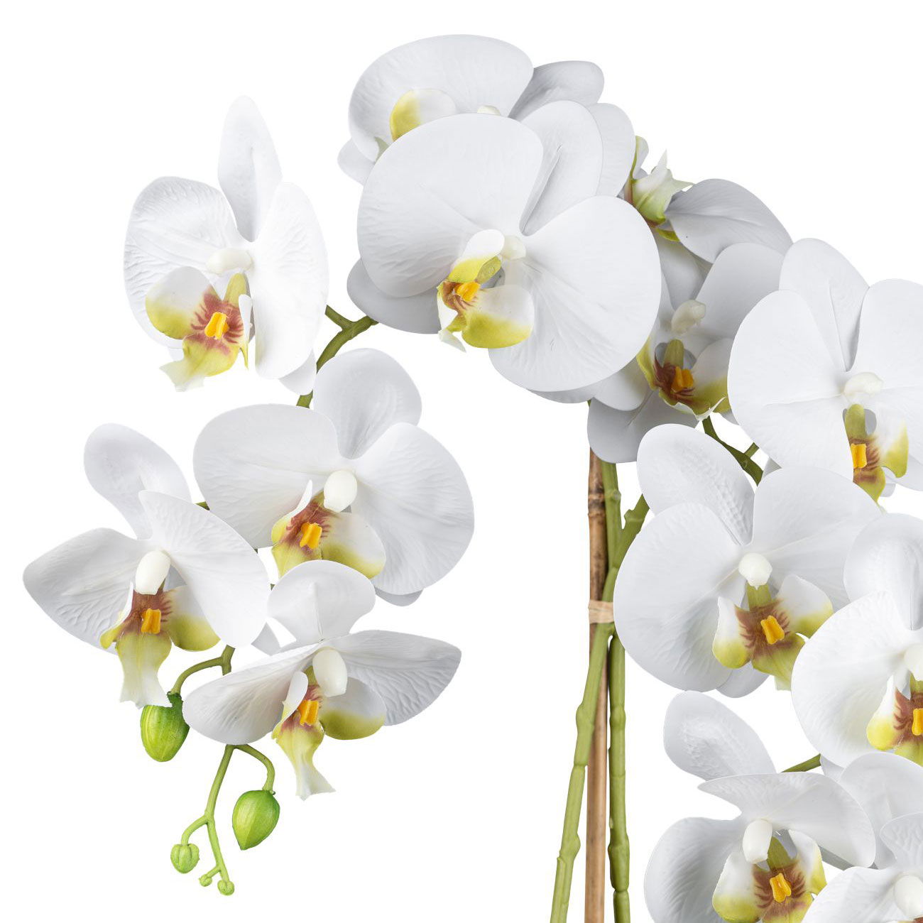 Kunstpflanze Phalaenopsis im Topf, Höhe ca. 60 cm